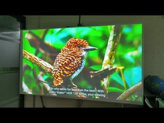 Projecteur multimédia SMX 5500 lumen avec résolution pour simulateur de golf